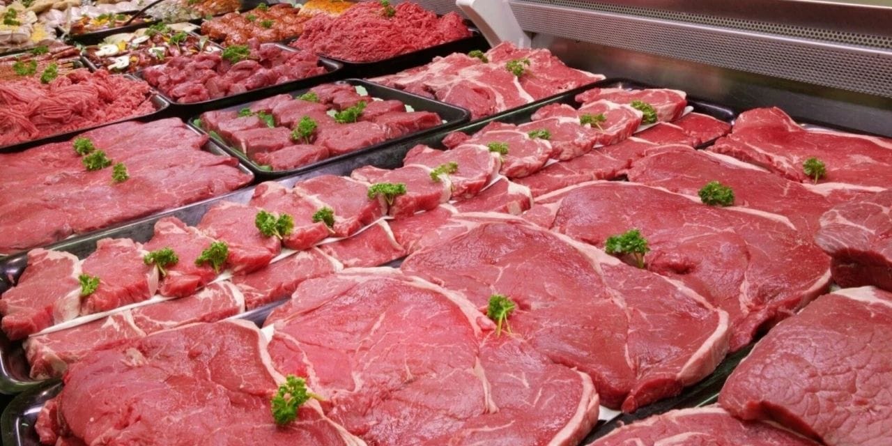 cicek bali diye satmislar dana kiyma diye yedirmisler rzHnHfhQ