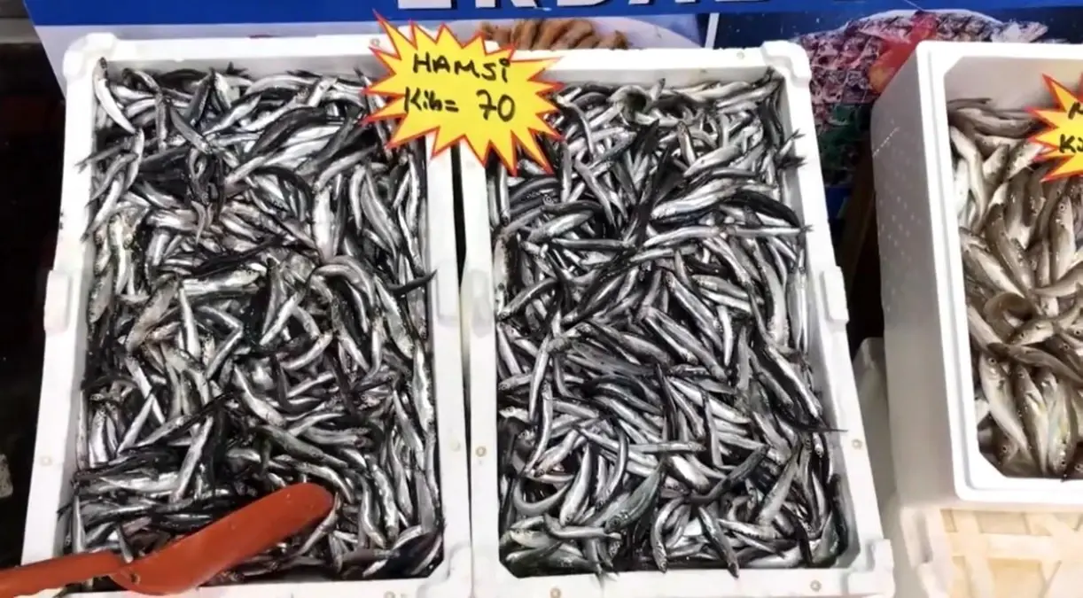 akcakoca balikci barinagi baskanindan taze balik uyarisi TFxRTshI.jpg