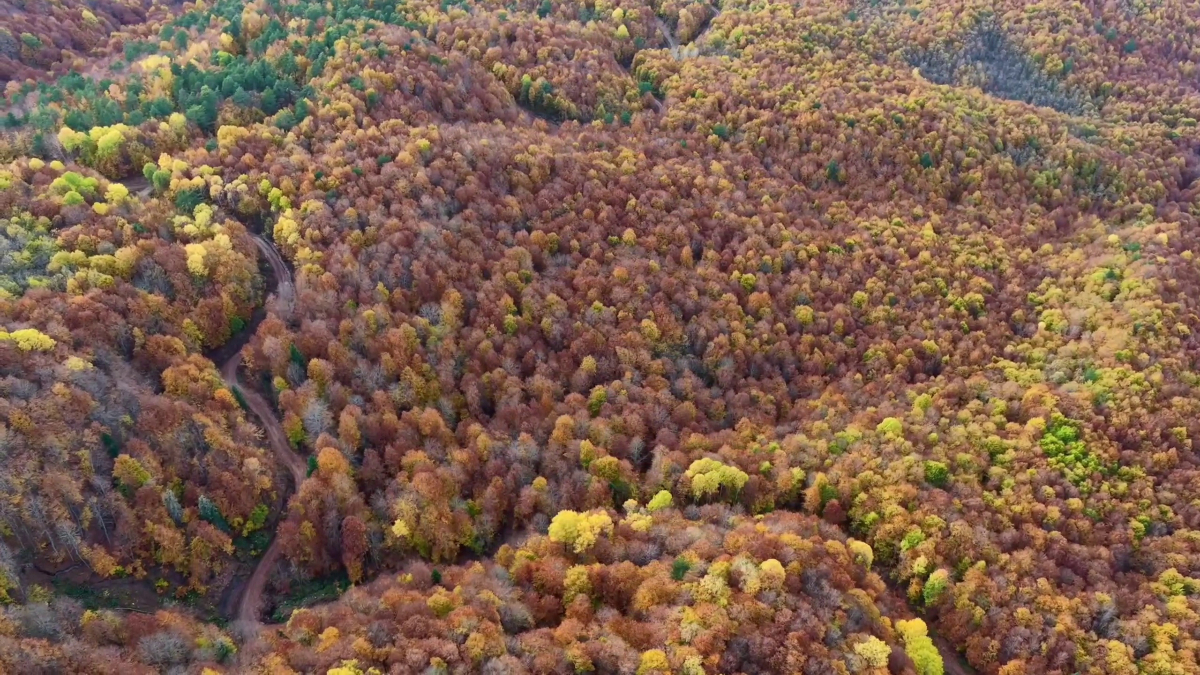 bolu mengende sonbahar guzelligi v4T1rH5A.jpg